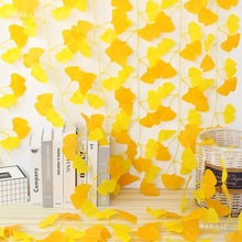 �y���~�ٻ��ٗl�Sɫ�٘��~���p�@ˮ�ܵ��b����ϻ��Gֲ������