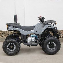 С��ҰATV���Ϳ�ɳ��܇��݆ԽҰĦ��܇ȫ����ɽ��܇150cc����