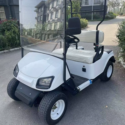 XT Xiangtu Travel Scenic Area Smart Scan Code Transport Vehicle Manufacturer 2-seater Golf Cart (Elektrikli qolf avtomobilləri)