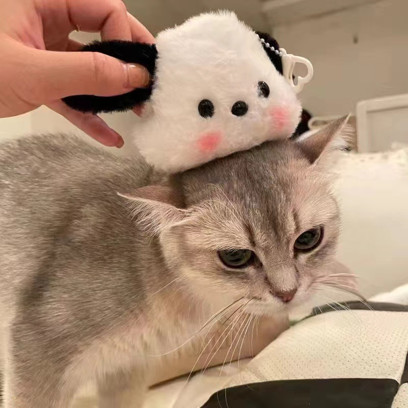 微信图片_20221129174601