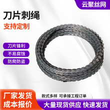刀片刺绳机场防护双螺旋刀片刺丝学校围墙刺绳防护网滚笼刀片刺网