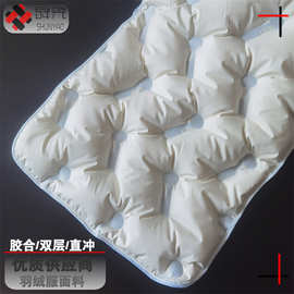 舜尧 春亚纺贴条工艺双层冲绒布 防绒通道直冲绒面料