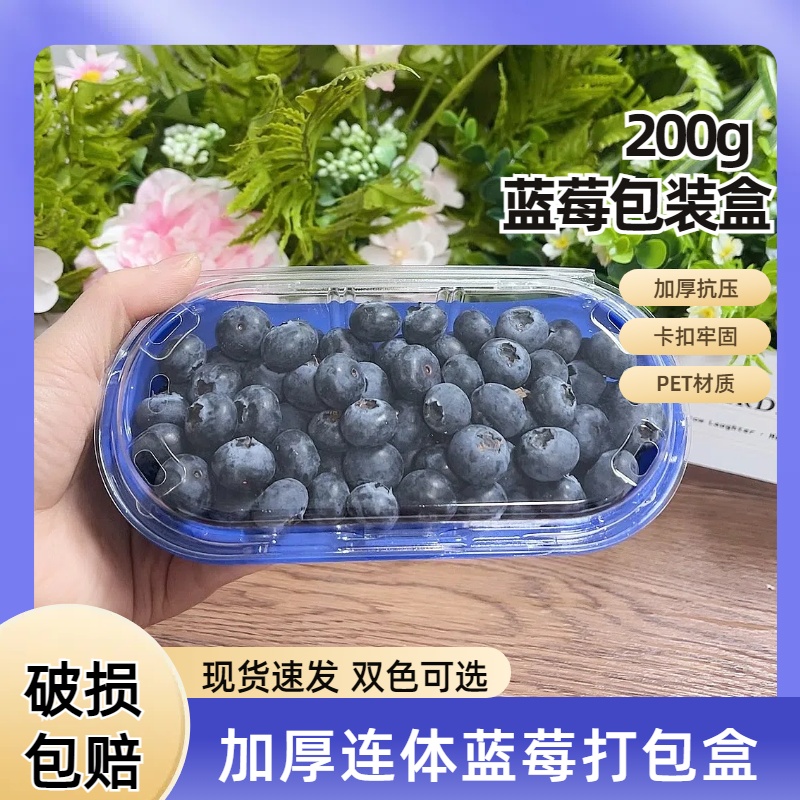 200g蓝莓盒子树莓打包盒 加厚透明塑料贴纸蓝底一次性蓝莓包装盒