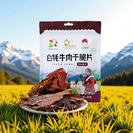 牛肉类;牛肉零食