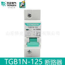 TENGEN/天正小型断路器TGB1N-125H 2P3P100A125A空气开关