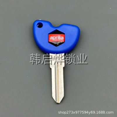 Motorcycle Key Plate Key Embryo BYQ125T-3E - 3628628mm-089-style-1-piaggio-key-embryo-blue