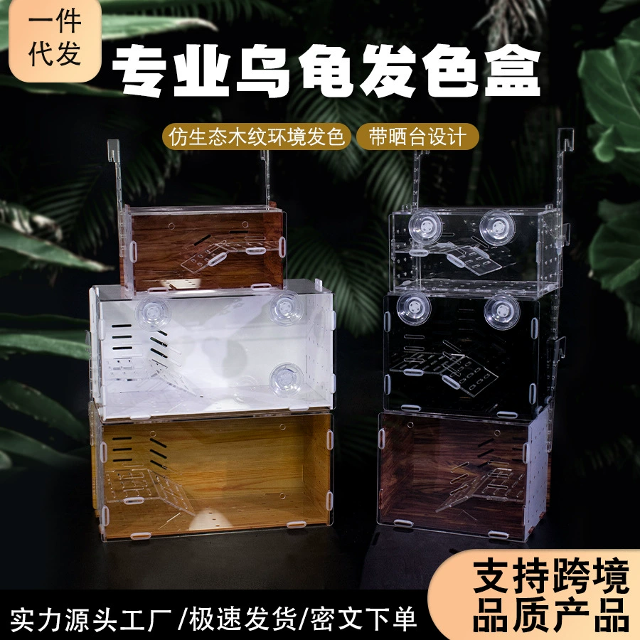 Черепаха узкий мост, яйцо, черепаха, цвет волос, аквариум с аквариумом