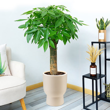 �S�����l���ͷ�����b����ߴ����ϻ���ٻ��٘���mˮ�Nֲ��