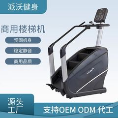 階段昇降機 室内運動ジム 登山機 階段昇降機 大型有酸素運動クライミングマシン 業務用階段昇降機