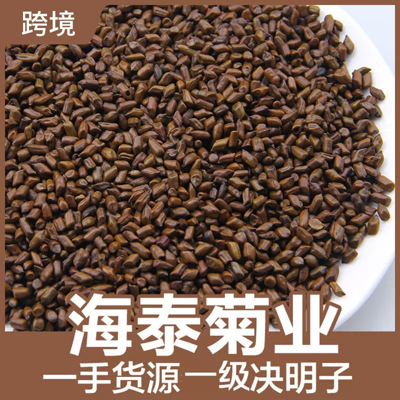 决明子500g药食同源熟决明子茶炒决明子沙滩枕芯花草茶厂家直销