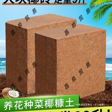 ��K�����B��Ҭ��ͨ����Ү�u���I�B��Ó�}�N��Ҭ�u�����Nֲ������