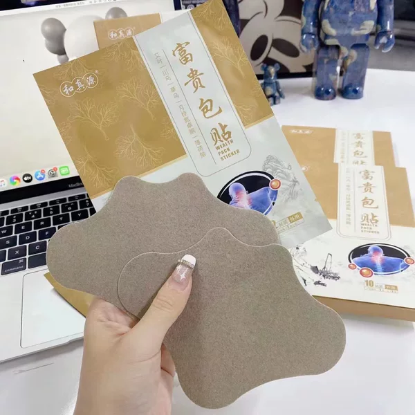 Hezhenyuan Fugui bag stickers 10 stickers (2 stickers X1 bags)