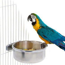 �W�^ιʳ���B�ʳ�費�P�С�Bιʳ���m�ϻ\�B���A��С��ˮ��ʳ�P