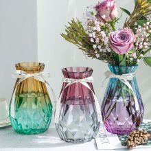 欧式创意玻璃花瓶透明水培绿萝植物玻璃花瓶家用插花客厅装饰摆件