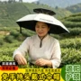 防雨可折叠头戴式钓鱼伞帽