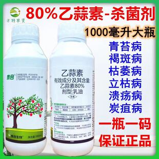 80%���������������������ή����ݲ����������̦���rș������