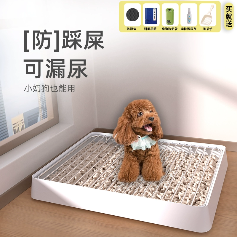 Собака туалет маленький собачий домашний питомец против стекающих мочеиспусканий
