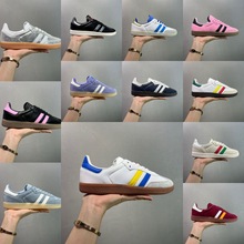 �ﶬ�¿�ϰ���ѸЬ�\�����eУ�@��Ь���m�ٴ���Ů��HЬ��ĥ