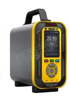 气体检测仪(一氧化碳、二氧化硫)/二氧化硫浓度分析仪