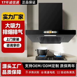 出租屋侧吸式抽油烟机家用厨房大吸力欧式烟机自动清洗吸油烟机