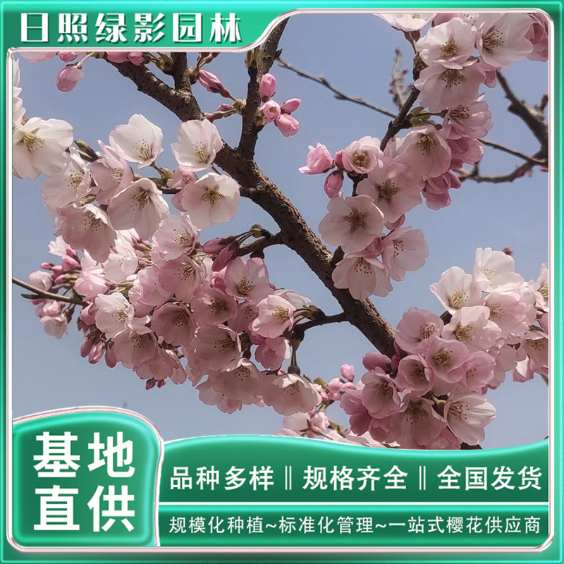 微信图片_20230818145608 副本.jpg