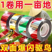 ��B�r�����ӎ��������r���ﰲȫ���⎧����ɫ���s�B�tɫ��s