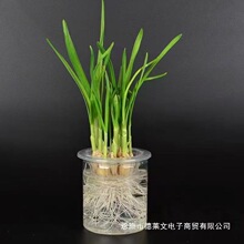 �׃��@�W�����Iˮ�����������diy�҃�����ֲ�ͯ�^����ӛ