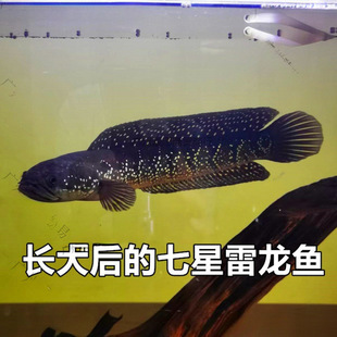 �^�p�����~�ʺ��������B��ˮ��ˮ�~�����^�p�\�����~���]
