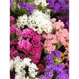 �����ҷN���׷N�ļ����ݻ�������ͥԺ�҃����ļ��_�����໨�N����