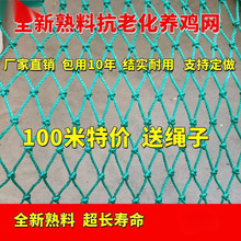 拦鸡养鸡围家禽养殖山鸡网尼龙网菜园围栏塑料网户外天高质量价优