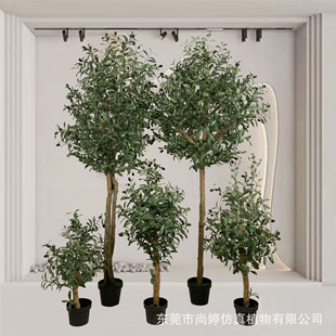 �����ϙ�����Ԍ�ľ�U  �҃��b[�����ͷ���Gֲ�辰�S�����l