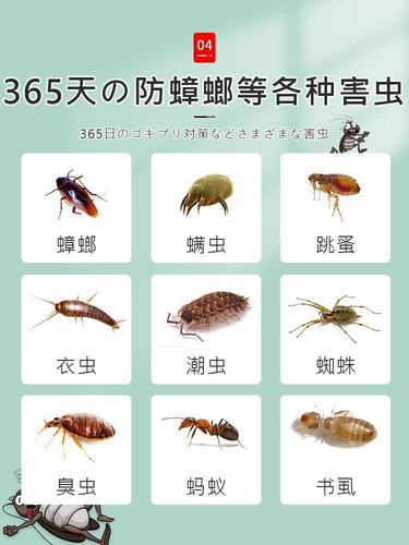 Japanese mothball wardrobe, mildew-proof, insect-proof, moisture-proof, odor-repellent, aromatherapy, indoor cockroach-proof clothes, moth-proof and dehumidification
