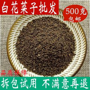 �׻����ӵ��500�˰��]�׻����� �׻��˷N�� �ٻ�������؛��