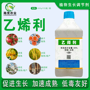�Ϻ��A�x��ϩ����Ƥ���҄�Ƥ�J����â���㽶���섩�{�����rș700g