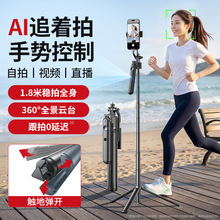 ����AI�׷ۙȫ�ԄӸ������ėU������_���֙C����֧���ֳ����L�U