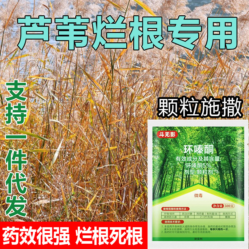 环嗪哃铜除竹子专用药杂草连根烂强力除灌木杂草环嗪酮除草烂根剂