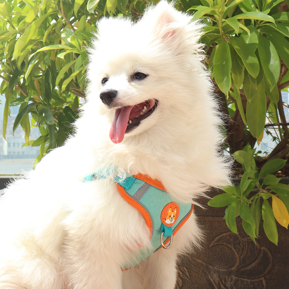 Cuerda de tracción para perros, correa para el pecho para mascotas, correa para perros, perro pequeño, pecho para perros lindo, correa para pasear a los perros, suministros transfronterizos