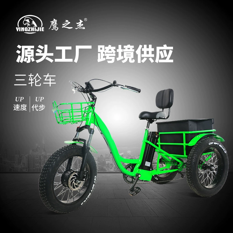 Трансграничный Электрический Снежный трехколесный велосипед Источник оптовая продажа с фабрики 20-дюймовый скутер вакуумная шина дисковый тормоз снегоход