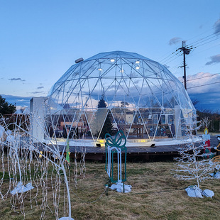 Japanese Fully Transparent Spherical Tent Outdoor Activities Starry Sky Tent Guangzhou Strength Factory Direct Overseas Tent