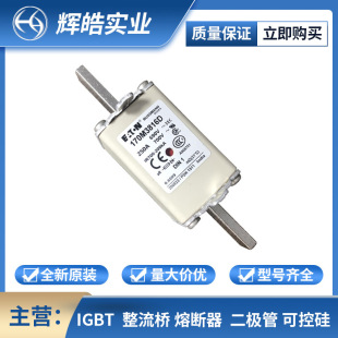 170m8642 170m8643 Fuse New Original Low Voltage Fast Fuse Electronic Components