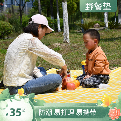 goods in stock Suede waterproof Mat Outing Camping mat thickening Beach mats Picnic mat outdoors Moisture-proof pad Amazon