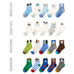 p06��ͯ�m�����l2026���ı����\��С�����z�m��͸��W����ͯ�m��