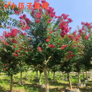 ���l�t�����ޱ��10��18�����L���������@�־G����ľ���ϻ���ֱ�N