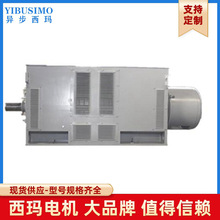 卧式IMB3 西玛牌6KV高压绕线型电机 YRKS系列YRKS800-16 1000KW