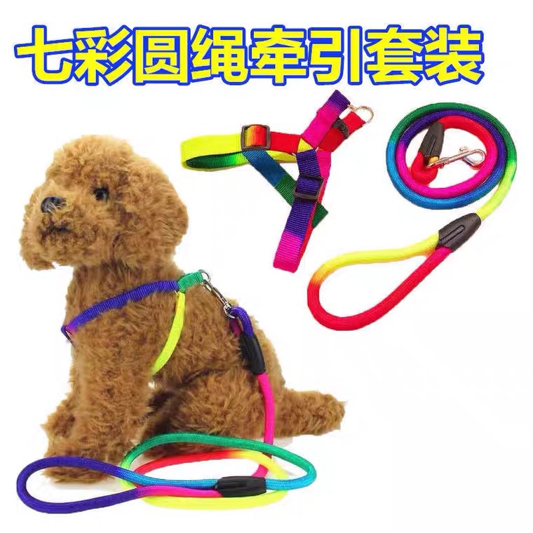 Correa de perro colorido pecho Correa hogar al aire libre perro cadena Teddy pequeño perro cuerda Correa perro