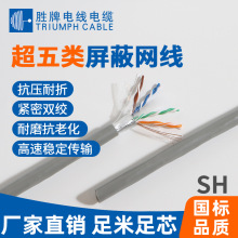 胜牌 室外防水抗UV超五类铝箔单屏蔽千兆网线 环保耐折HDPE绝缘