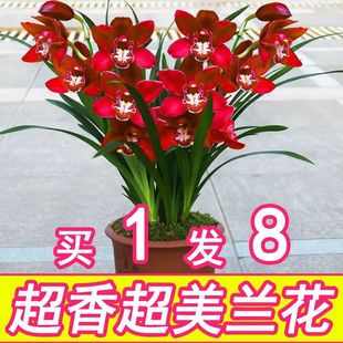 �������m���������ļ��_���҃ȑ��˾Gֲ���ܺ��B�׻�