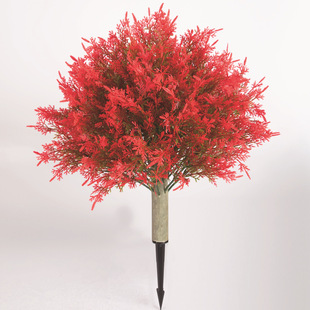 �¿�羳���R�d�����＾�l�S���b�Ʒ�ز��Ҿ�ͥԺ�[������b�