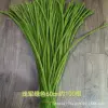 Extended version 60CM-light military green-about 100 pieces