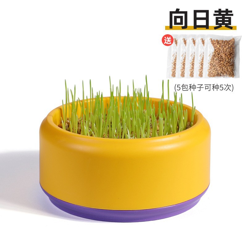 Nuevos bocadillos transfronterizos para gatos, semillas en macetas de pasto para gatos, caja de hierba para gatos hidropónica, juego de bolas de pelo, plato de vivero de pasto para gatos sin tierra